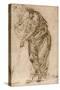 Standing Figure Leaning on a Staff, C.1510-Piero di Cosimo-Stretched Canvas