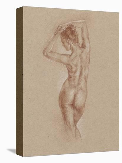 Standing Figure Study I-Ethan Harper-Stretched Canvas