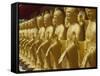 Standing Gold-Colored Buddha Statues at a Buddhist Shrine, Foukuangshan Temple, Taiwan-Steve Satushek-Framed Stretched Canvas
