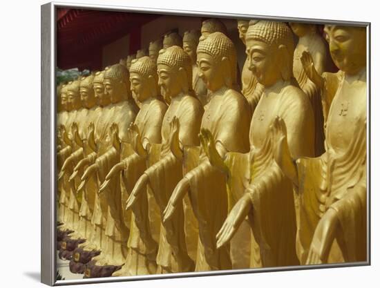 Standing Gold-Colored Buddha Statues at a Buddhist Shrine, Foukuangshan Temple, Taiwan-Steve Satushek-Framed Photographic Print