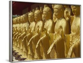 Standing Gold-Colored Buddha Statues at a Buddhist Shrine, Foukuangshan Temple, Taiwan-Steve Satushek-Framed Photographic Print