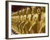 Standing Gold-Colored Buddha Statues at a Buddhist Shrine, Foukuangshan Temple, Taiwan-Steve Satushek-Framed Photographic Print