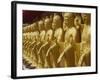 Standing Gold-Colored Buddha Statues at a Buddhist Shrine, Foukuangshan Temple, Taiwan-Steve Satushek-Framed Photographic Print