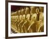 Standing Gold-Colored Buddha Statues at a Buddhist Shrine, Foukuangshan Temple, Taiwan-Steve Satushek-Framed Photographic Print