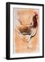 Standing Hen, 1998-Mark Adlington-Framed Premium Giclee Print