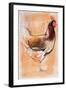 Standing Hen, 1998-Mark Adlington-Framed Giclee Print