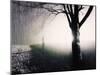 Standing in the Rain under Tree-Jan Lakey-Mounted Photographic Print
