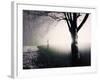 Standing in the Rain under Tree-Jan Lakey-Framed Photographic Print