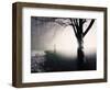 Standing in the Rain under Tree-Jan Lakey-Framed Photographic Print