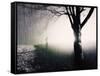 Standing in the Rain under Tree-Jan Lakey-Framed Stretched Canvas