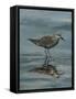 Standing in Water VI-Marian Parsons-Framed Stretched Canvas