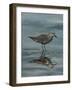 Standing in Water VI-Marian Parsons-Framed Art Print