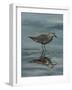 Standing in Water VI-Marian Parsons-Framed Art Print