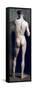 Standing Male Nude-null-Framed Stretched Canvas