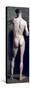 Standing Male Nude-null-Stretched Canvas