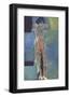 Standing Nude-Nicolas De Stael-Framed Art Print