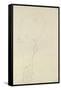 Standing Pair of Lovers-Gustav Klimt-Framed Stretched Canvas