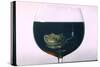 Standing Rib Roast Reflected in a Glass of Red Wine-John Dominis-Stretched Canvas