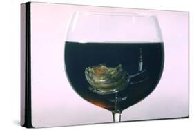Standing Rib Roast Reflected in a Glass of Red Wine-John Dominis-Stretched Canvas