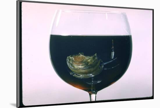 Standing Rib Roast Reflected in a Glass of Red Wine-John Dominis-Mounted Photographic Print