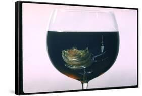 Standing Rib Roast Reflected in a Glass of Red Wine-John Dominis-Framed Stretched Canvas
