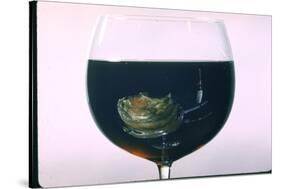 Standing Rib Roast Reflected in a Glass of Red Wine-John Dominis-Stretched Canvas