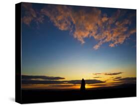 Standing Stone, Monavullagh Mountains, County Waterford, Ireland-null-Stretched Canvas