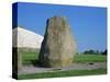 Standing Stone, Newgrange, Unesco World Heritage Site, County Meath, Leinster, Republic of Ireland-Nedra Westwater-Stretched Canvas