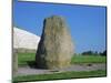 Standing Stone, Newgrange, Unesco World Heritage Site, County Meath, Leinster, Republic of Ireland-Nedra Westwater-Mounted Photographic Print