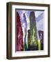 Standing Stones, Callanish, 2003-Derek Crow-Framed Giclee Print