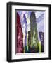 Standing Stones, Callanish, 2003-Derek Crow-Framed Giclee Print