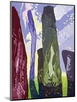 Standing Stones, Callanish, 2003-Derek Crow-Mounted Giclee Print