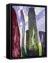 Standing Stones, Callanish, 2003-Derek Crow-Framed Stretched Canvas