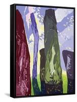 Standing Stones, Callanish, 2003-Derek Crow-Framed Stretched Canvas