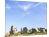 Standing Stones, Carnac, Morbihan, Brittany, France-David Hughes-Mounted Photographic Print