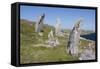 Standing Stones, Great Bernera, Isle of Lewis, Outer Hebrides, Scotland, 2009-Peter Thompson-Framed Stretched Canvas