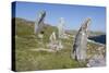 Standing Stones, Great Bernera, Isle of Lewis, Outer Hebrides, Scotland, 2009-Peter Thompson-Stretched Canvas