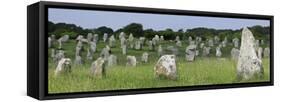 Standing Stones in the Menec Alignment at Carnac, Brittany, France-Philippe Clement-Framed Stretched Canvas