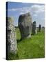 Standing Stones in the Menec Alignment at Carnac, Brittany, France-Philippe Clement-Stretched Canvas