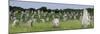 Standing Stones in the Menec Alignment at Carnac, Brittany, France-Philippe Clement-Mounted Photographic Print