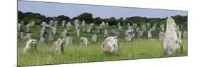 Standing Stones in the Menec Alignment at Carnac, Brittany, France-Philippe Clement-Mounted Photographic Print