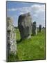 Standing Stones in the Menec Alignment at Carnac, Brittany, France-Philippe Clement-Mounted Photographic Print