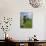 Standing Stones in the Menec Alignment at Carnac, Brittany, France-Philippe Clement-Photographic Print displayed on a wall