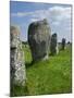 Standing Stones in the Menec Alignment at Carnac, Brittany, France-Philippe Clement-Mounted Photographic Print