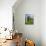 Standing Stones in the Menec Alignment at Carnac, Brittany, France-Philippe Clement-Photographic Print displayed on a wall