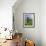 Standing Stones in the Menec Alignment at Carnac, Brittany, France-Philippe Clement-Framed Photographic Print displayed on a wall