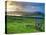 Standing Stones Near Portmagee, Valentia Island, Co Kerry, Ireland-Doug Pearson-Stretched Canvas