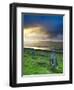 Standing Stones Near Portmagee, Valentia Island, Co Kerry, Ireland-Doug Pearson-Framed Photographic Print