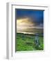 Standing Stones Near Portmagee, Valentia Island, Co Kerry, Ireland-Doug Pearson-Framed Photographic Print