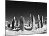 Standing Stones of Callanish, Callanish, Near Carloway, Isle of Lewis, Scotland-Lee Frost-Mounted Photographic Print